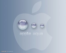 apple_69.jpg