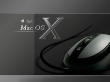 apple_104.jpg
